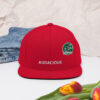 Audacious-Snapback Hat - Image 40
