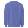 Transfromed-Unisex garment-dyed sweatshirt - Image 35